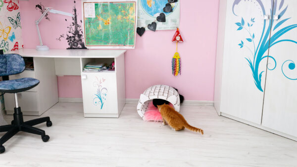 Eco Wood Art (EWA) 3D Bouwpakket Houten huisje Wit met Roze Pluche Vachtje, 1768, 48x36,2x45,6cm - Afbeelding 6