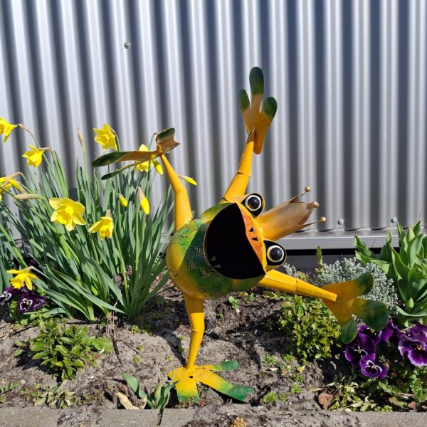 Dansende Kikker, Metaal, Tuinbeeld, Size "M", Art Bizniz, Geel, BW24146M, 56x30x63cm