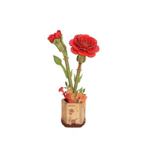 Robotime, DIY Houten Bloem, Red Carnation/Rode Anjer,  TW052, 12x8x22cm