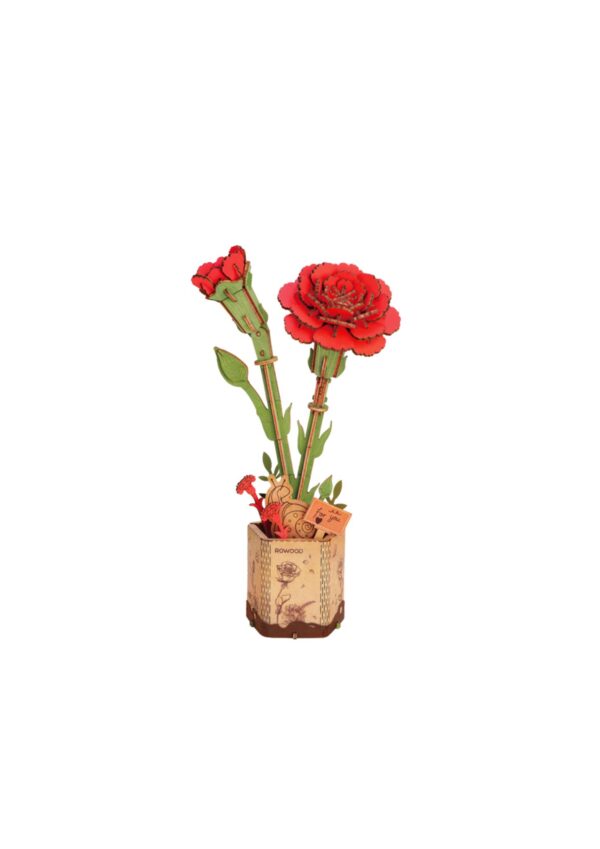 Robotime, DIY Houten Bloem, Red Carnation/Rode Anjer,  TW052, 12x8x22cm