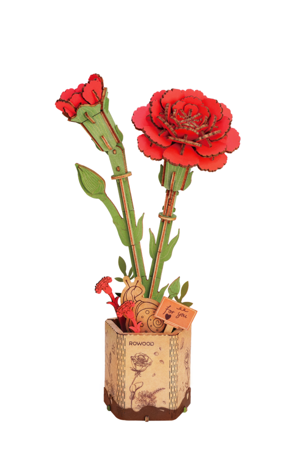 Robotime, DIY Houten Bloem, Red Carnation/Rode Anjer,  TW052, 12x8x22cm