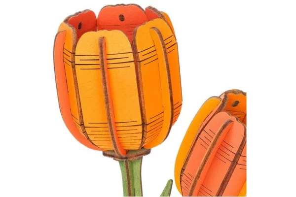 Robotime, DIY Houten Bloem Orange Tulip, Oranje Tulp,  TW081 - Afbeelding 2