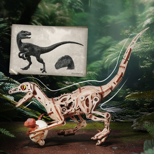 Robotime, DIY 3D Modelbouwpakket Velociraptor Dinosaurus, LD01, 41,5x10,5x21cm - Afbeelding 4