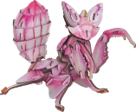 MakeBug, 3D Modelbouw, Orchid mantis, MB-D-0052, 17,5 x 10,5 x 3,0 cm