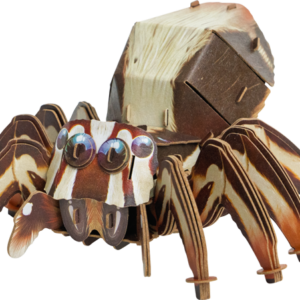 MakeBug, 3D Modelbouw, Jumping spider, MB-D-0054, 11x13x8 cm